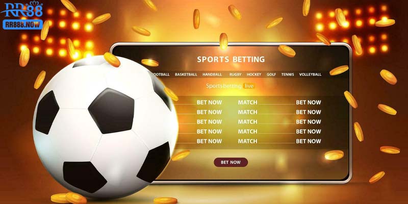 Hướng Dẫn Cách Soi Kèo 2.5/3 Hiệu Quả Dành Cho Tân Thủ